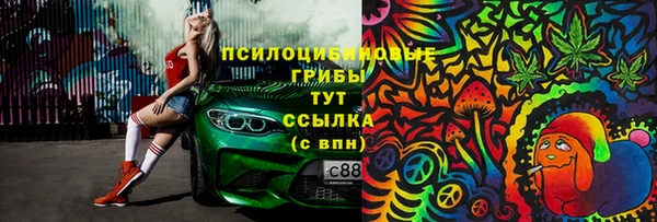 каннабис Аркадак