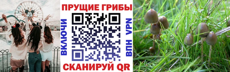 Галлюциногенные грибы MAGIC MUSHROOMS  KRAKEN ссылка  Свободный 